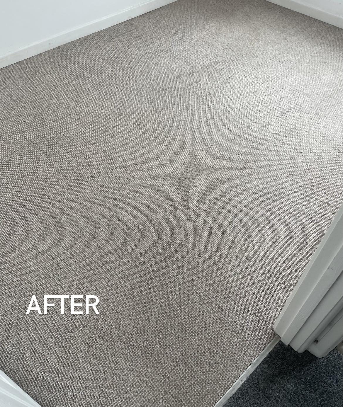 Lounge carpet refreshed after professional clean