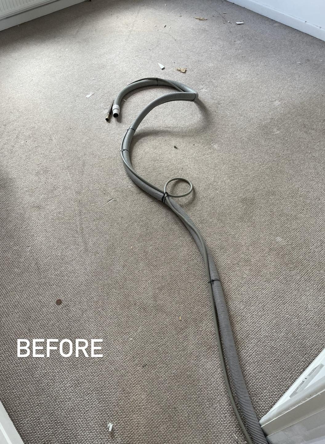 Lounge carpet with debris before cleaning